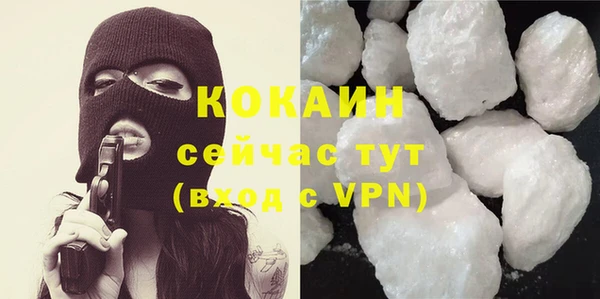 гашик Пересвет