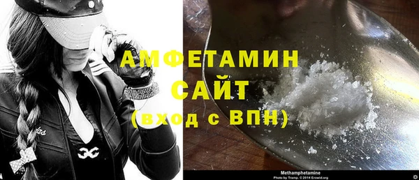 гашик Пересвет