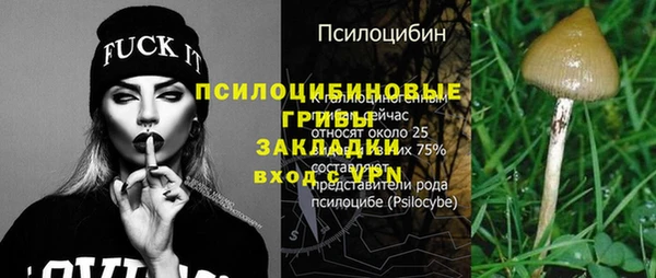 mdpv Осинники