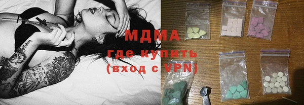 гашик Пересвет