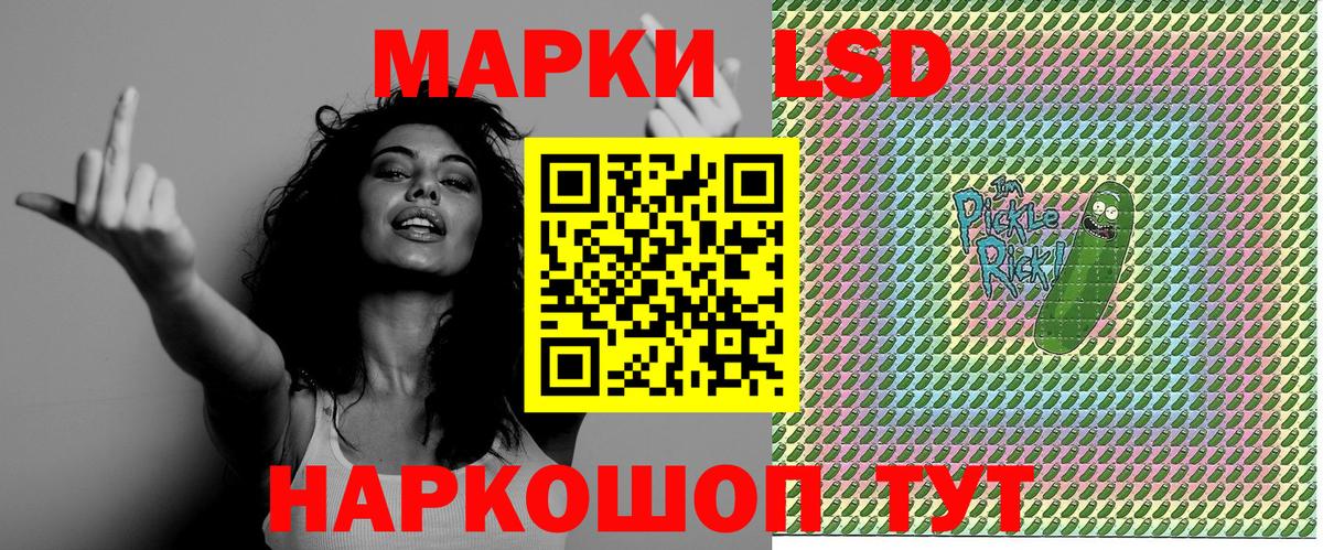 Псилоцибиновые грибы Искитим