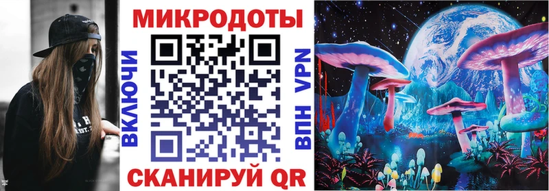 Псилоцибиновые грибы Cubensis  Искитим 