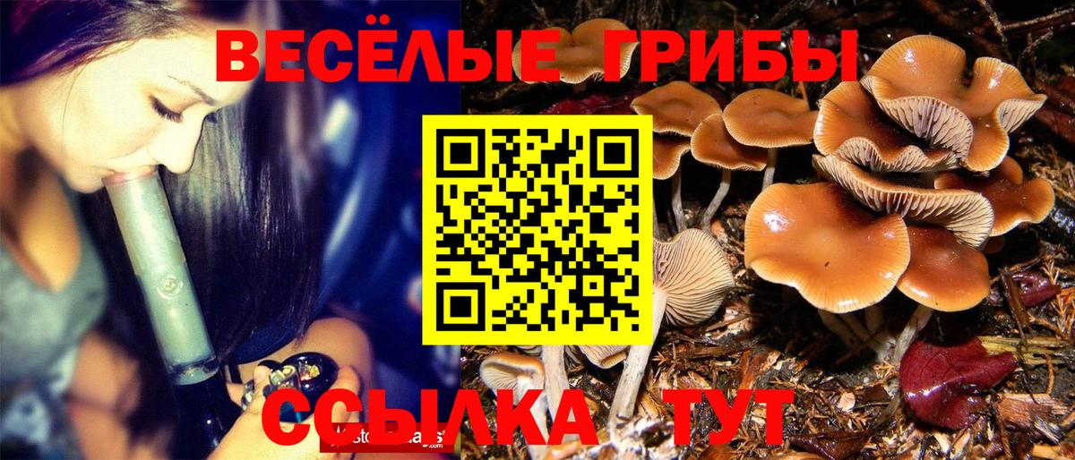 Галлюциногенные грибы GOLDEN TEACHER Искитим