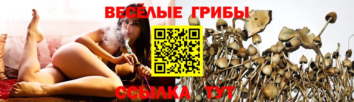 Галлюциногенные грибы GOLDEN TEACHER  где купить наркоту  Искитим  Вход с VPN 
